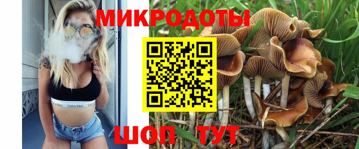 Галлюциногенные грибы Cubensis Солнечногорск