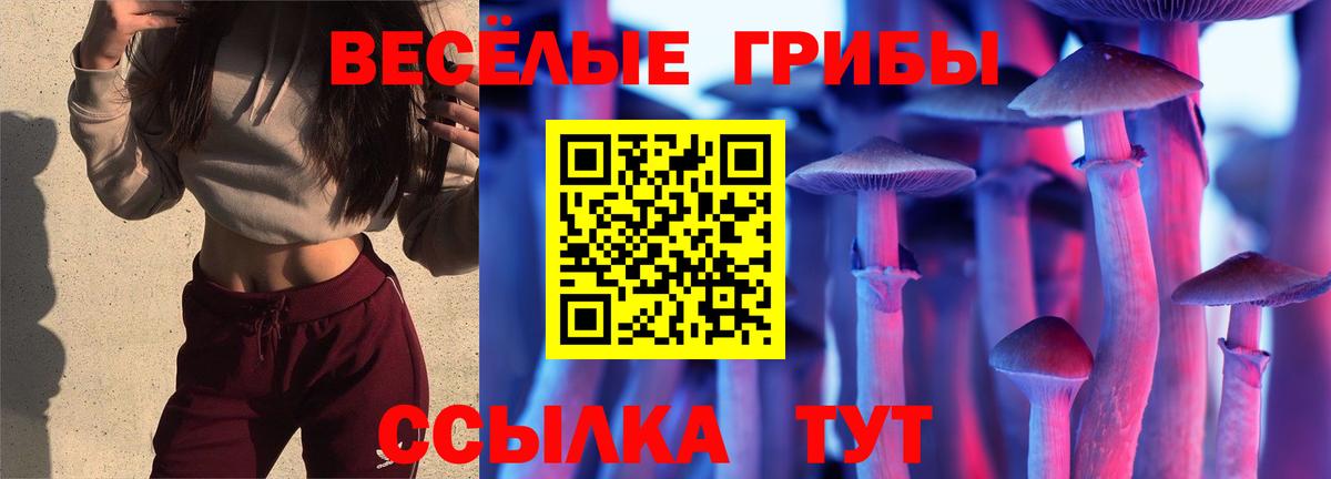 Псилоцибиновые грибы Cubensis  Вход с VPN  Солнечногорск 