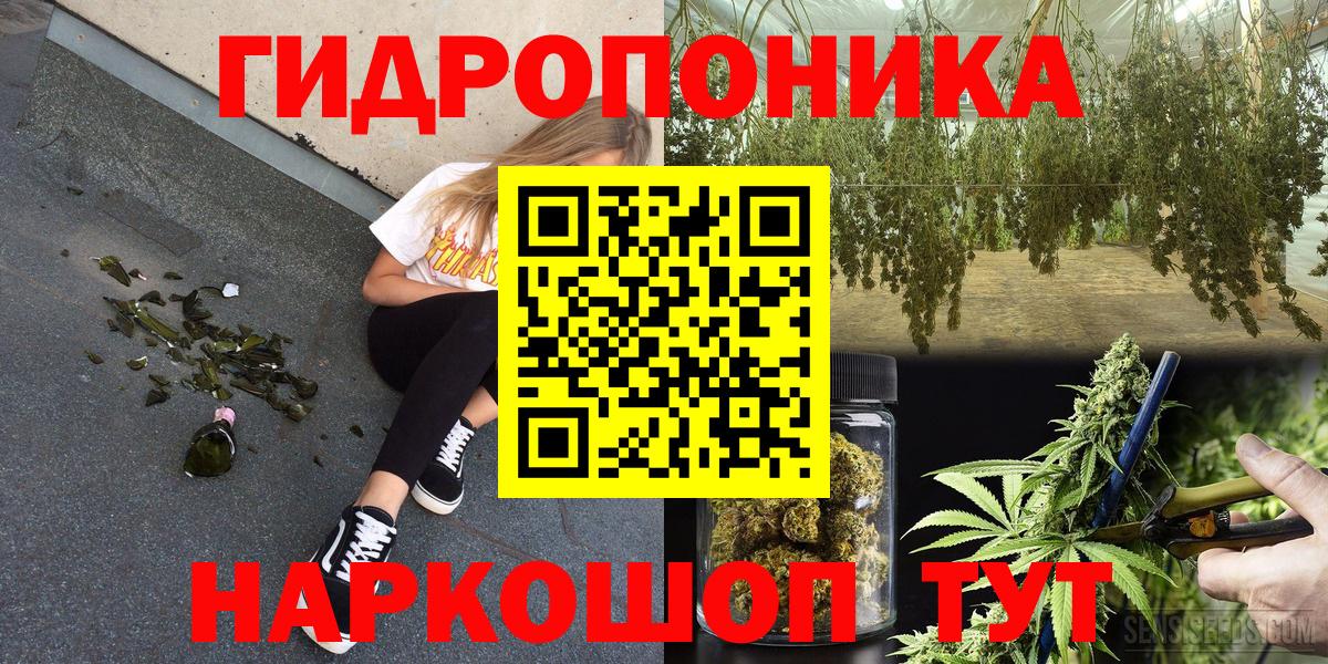 Конопля сатива Солнечногорск